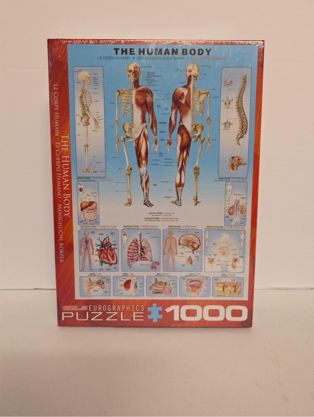 Eurographics Puzzle "The Human Body" 1000 Pcs. Made In The USA